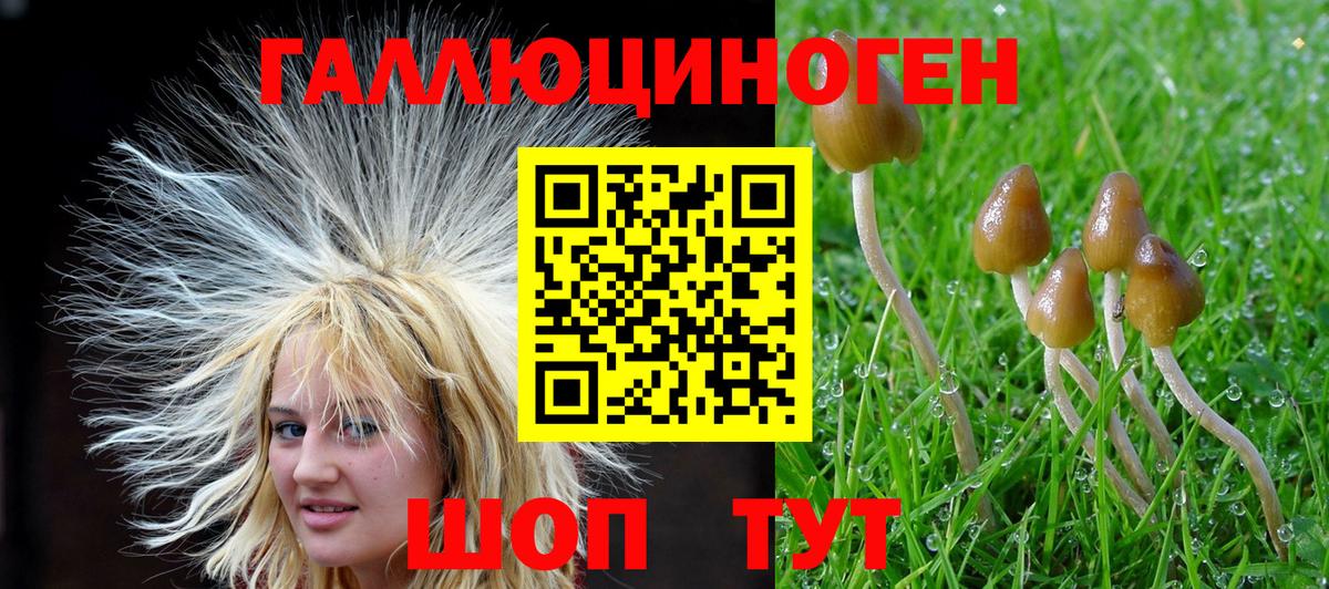 Татарск  купить наркоту  Вход с VPN  Псилоцибиновые грибы GOLDEN TEACHER  Галлюциногенные грибы ЛСД 