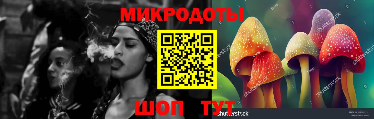 Псилоцибиновые грибы мицелий Татарск